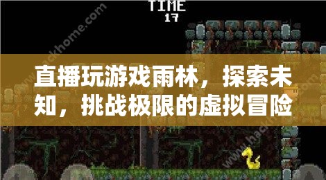 雨林探險(xiǎn)，挑戰(zhàn)極限的虛擬冒險(xiǎn)之旅