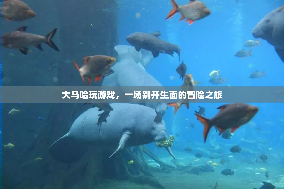 大馬哈的冒險之旅，一場別開生面的游戲盛宴