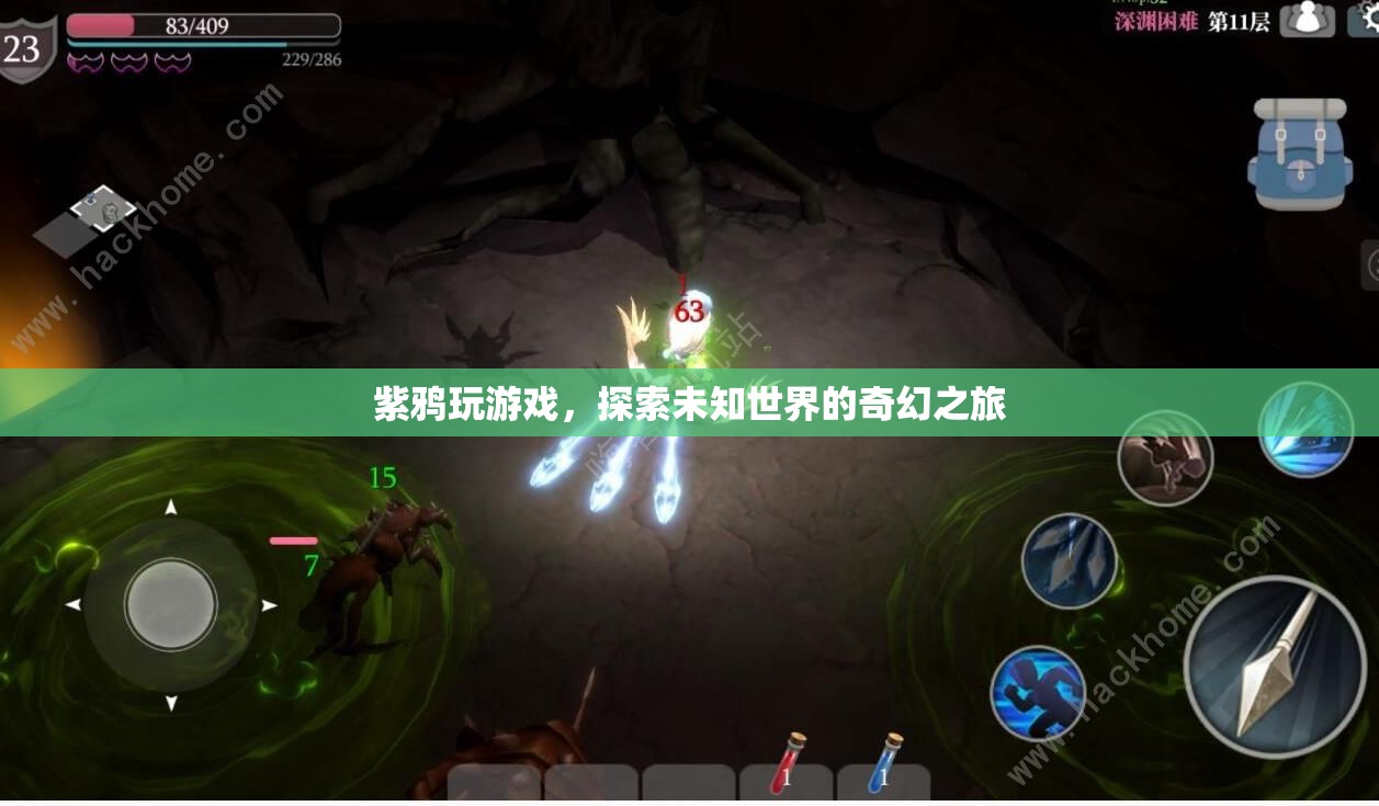 紫鴉的奇幻冒險(xiǎn)，探索未知世界的游戲之旅