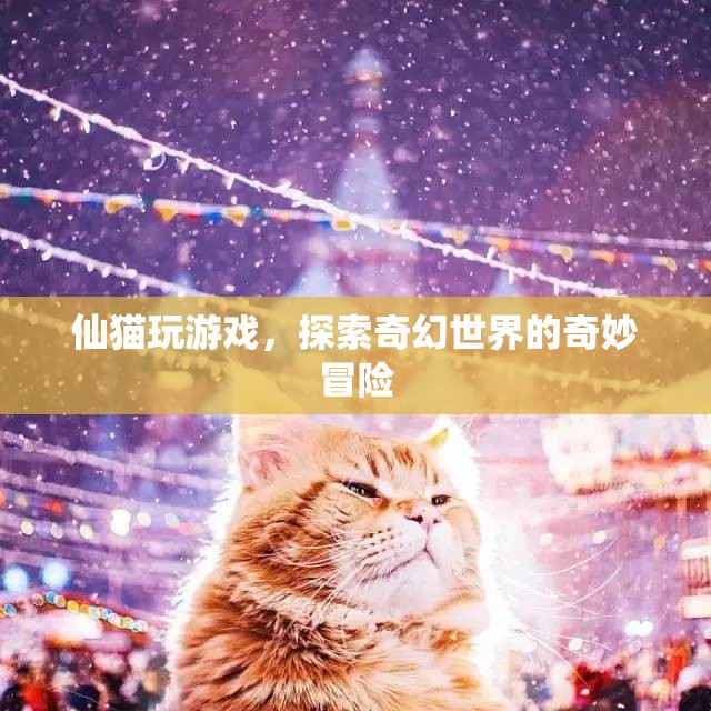 仙貓游戲，奇幻世界的冒險(xiǎn)之旅