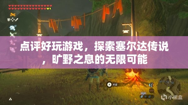探索塞爾達傳說，曠野之息的無限可能，游戲點評與玩法探索