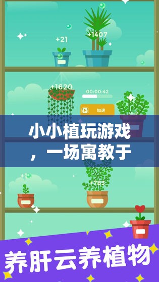 寓教于樂，小小植的養(yǎng)成冒險之旅
