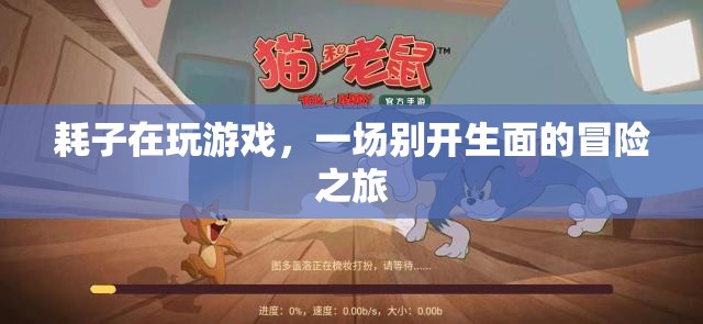耗子游戲，一場(chǎng)別開(kāi)生面的冒險(xiǎn)之旅