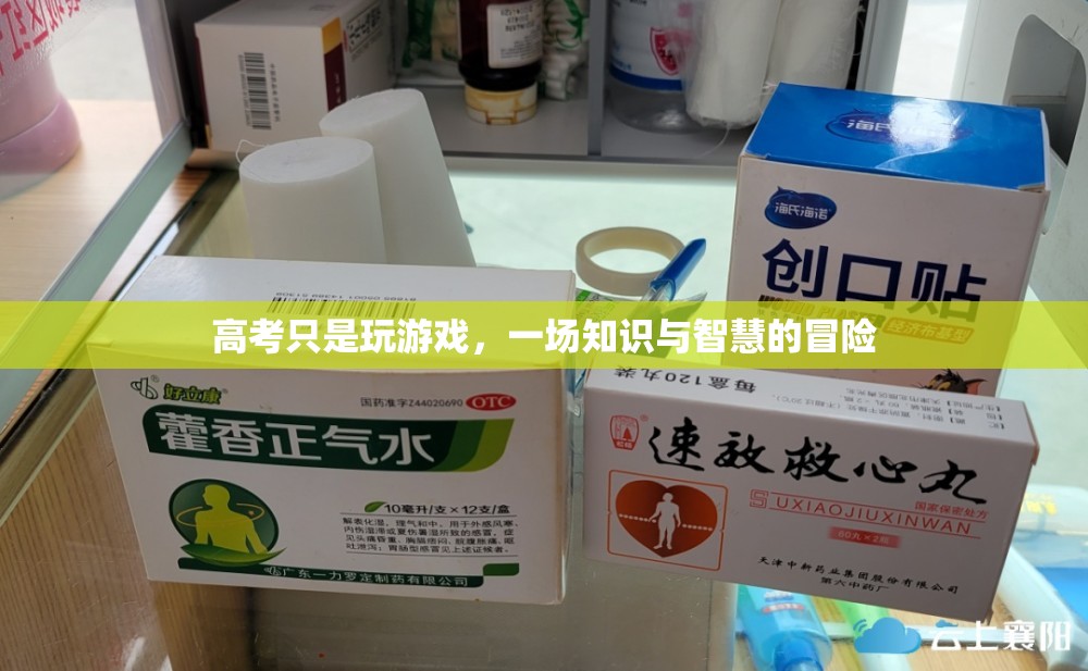 高考，一場知識與智慧的冒險之旅