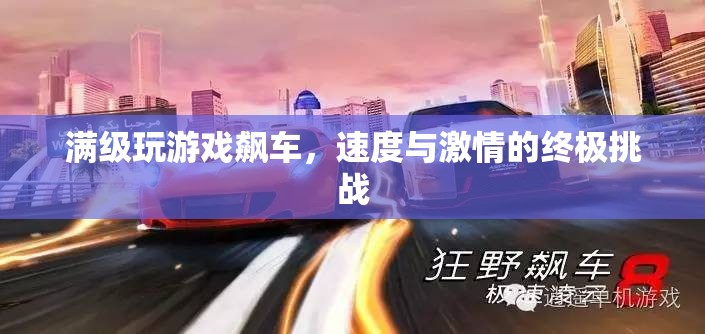 速度與激情的終極挑戰(zhàn)，滿級(jí)游戲飆車
