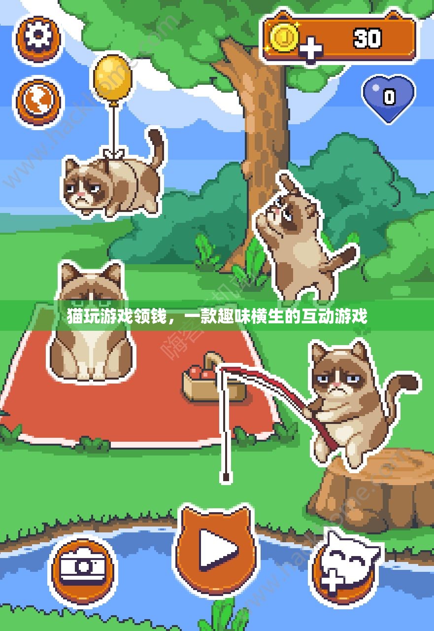 貓玩游戲領錢，趣味互動游戲等你來挑戰(zhàn)