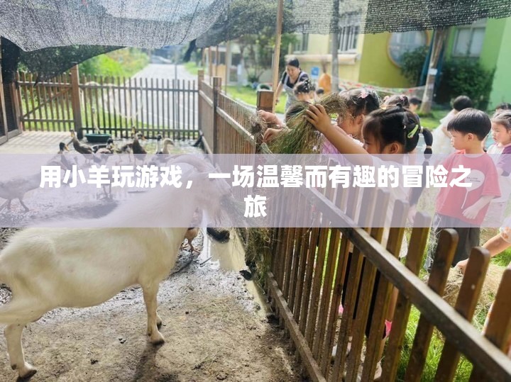 小羊的溫馨冒險之旅