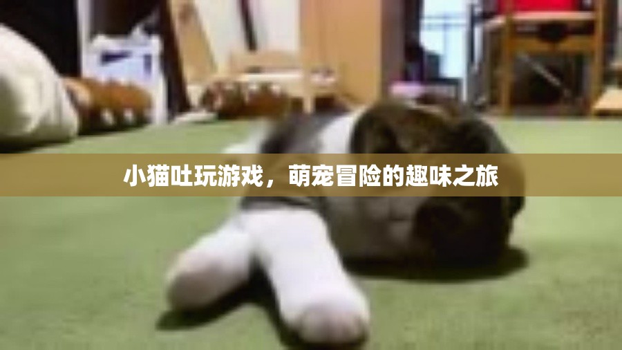 萌寵冒險(xiǎn)記，小貓吐玩游戲的趣味之旅