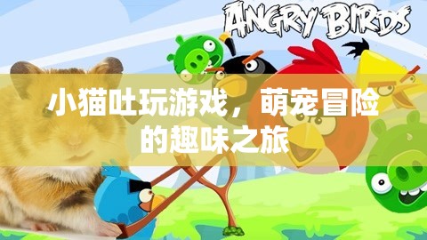 萌寵冒險(xiǎn)記，小貓吐玩游戲的趣味之旅