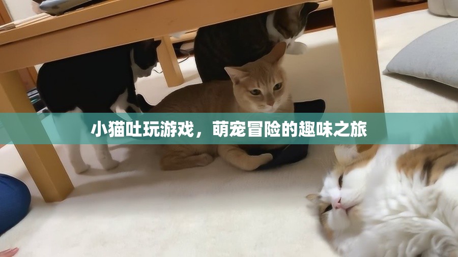 萌寵冒險(xiǎn)記，小貓吐玩游戲的趣味之旅