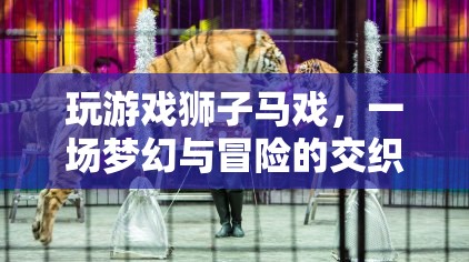 夢幻冒險之旅，獅子馬戲團(tuán)游戲  第3張