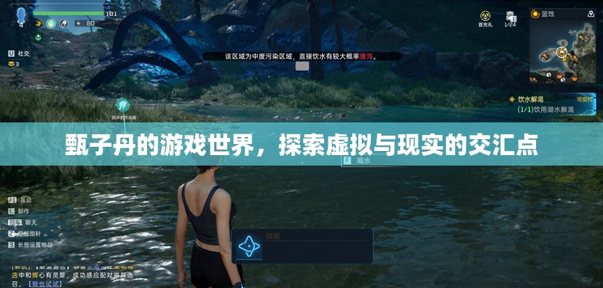甄子丹游戲世界，虛擬與現(xiàn)實(shí)的交匯探索  第1張