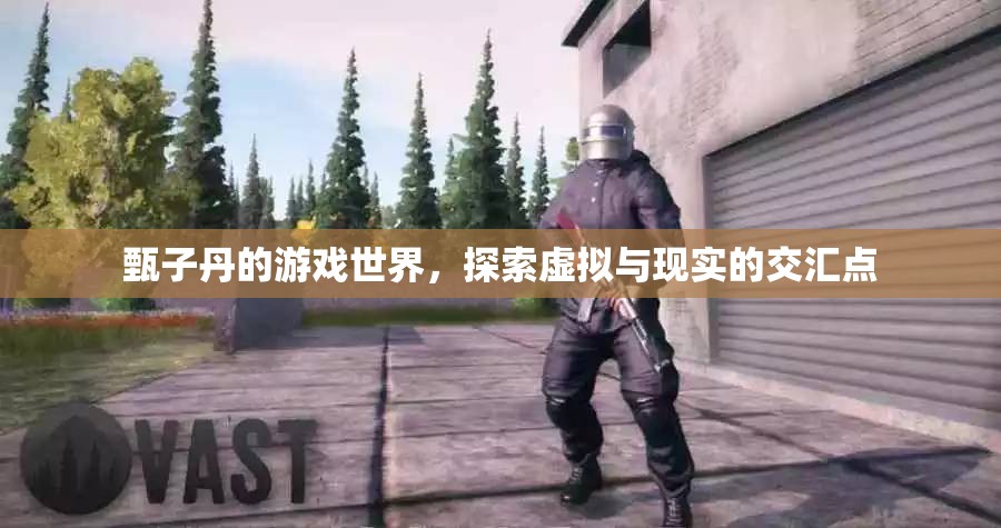 甄子丹游戲世界，虛擬與現(xiàn)實(shí)的交匯探索  第2張