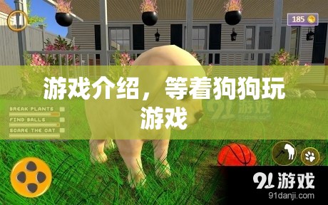 等著狗狗游戲介紹，與萌寵共度歡樂時光