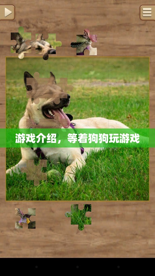 等著狗狗游戲介紹，與萌寵共度歡樂時光