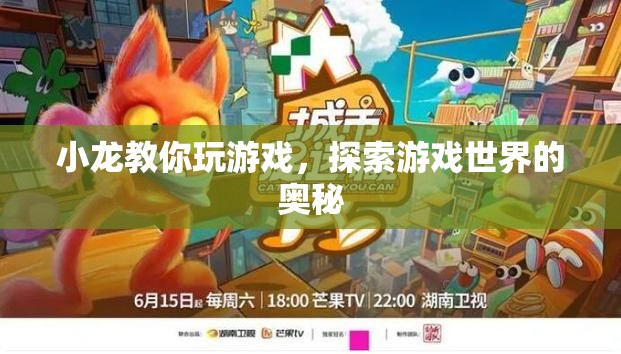 小龍帶你探索游戲世界的奧秘