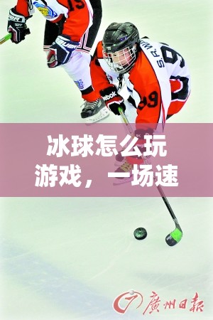 冰球，速度與激情的冰雪盛宴