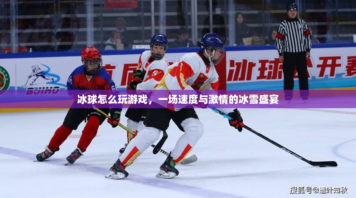 冰球，速度與激情的冰雪盛宴