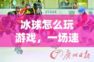 冰球，速度與激情的冰雪盛宴