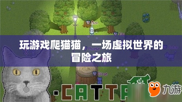 虛擬世界冒險(xiǎn)，爬貓貓游戲之旅