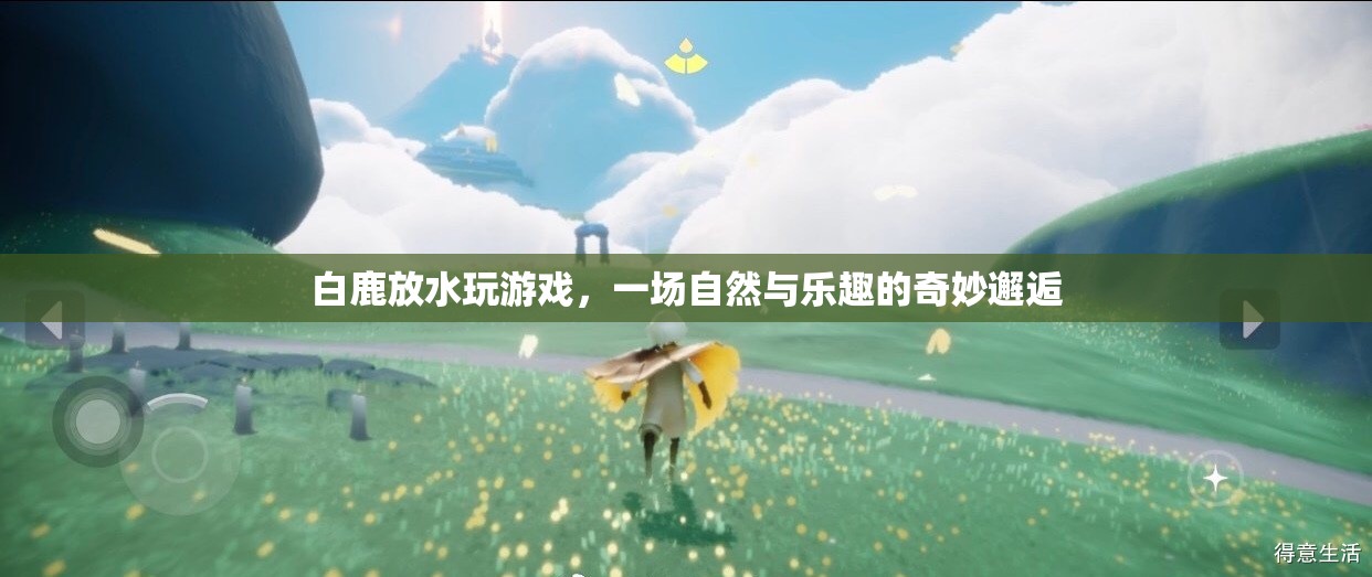 白鹿放水，自然與樂趣的奇妙邂逅