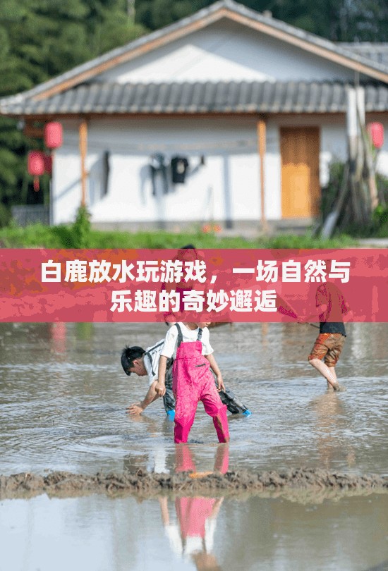 白鹿放水，自然與樂趣的奇妙邂逅