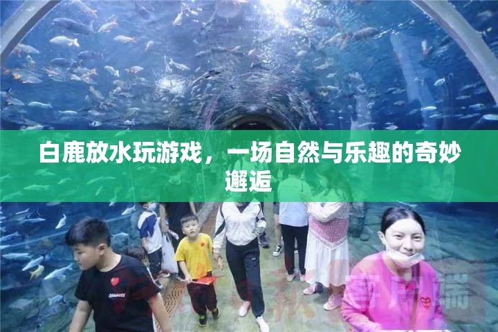 白鹿放水，自然與樂趣的奇妙邂逅