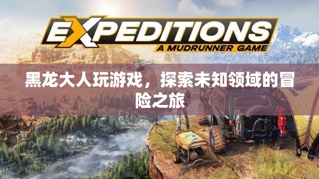 黑龍大人游戲探索，冒險之旅開啟