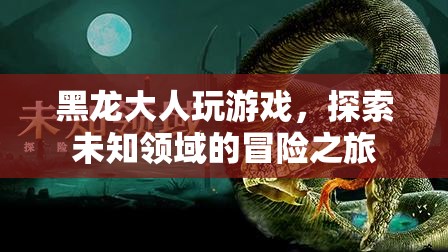 黑龍大人游戲探索，冒險之旅開啟
