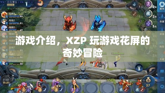 XZP玩游戲花屏的奇妙冒險，探索視覺扭曲的奇幻之旅