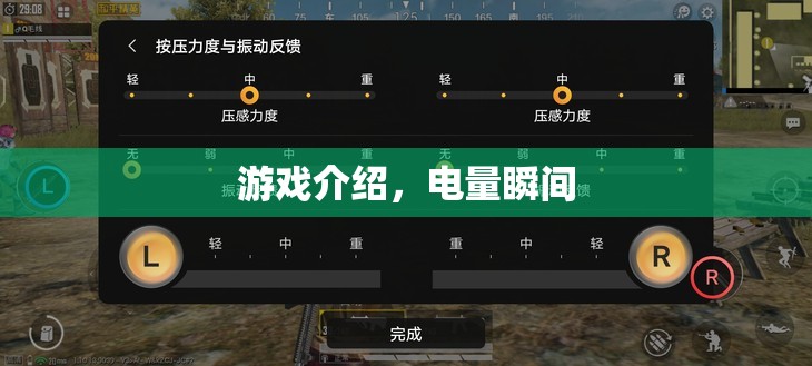 電量瞬間游戲，探索電力奧秘，挑戰(zhàn)電量極限
