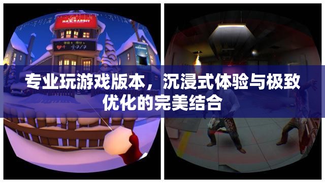 專業(yè)游戲版本，沉浸式體驗(yàn)與極致優(yōu)化的完美融合