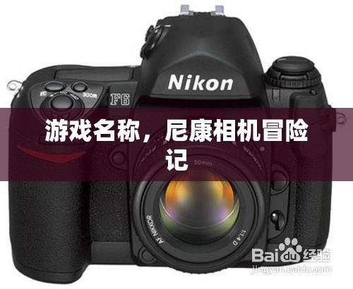 尼康相機冒險記，一場游戲一場夢