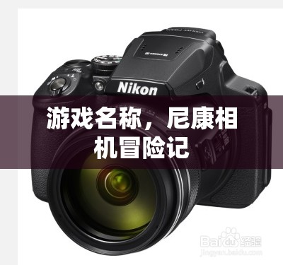 尼康相機冒險記，一場游戲一場夢