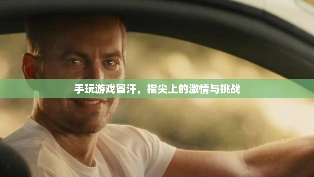 指尖上的激情與挑戰(zhàn)，手游冒汗的冒險之旅