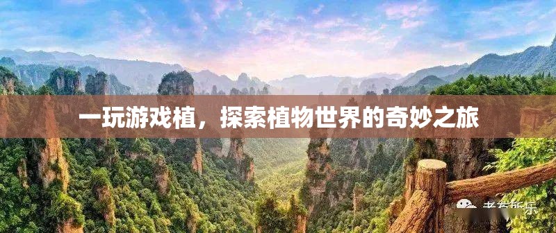 探索植物世界的奇妙之旅，游戲植的奇妙冒險  第3張