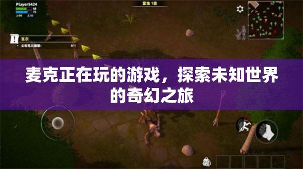 探索未知世界的奇幻之旅，麥克的游戲之旅