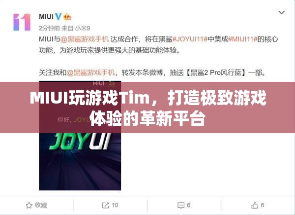 MIUI推出全新游戲平臺Tim，打造極致游戲體驗