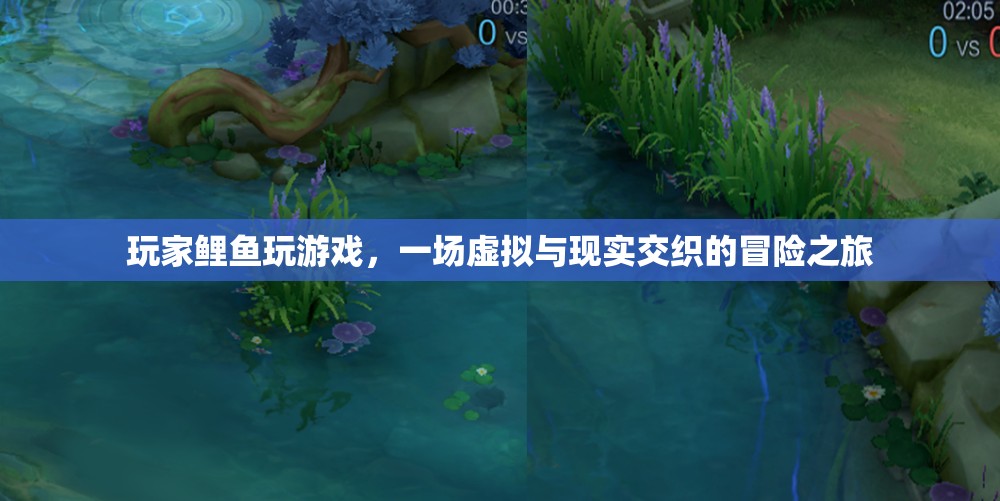 玩家鯉魚，虛擬與現(xiàn)實交織的冒險之旅