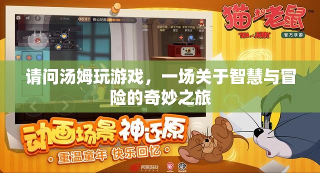 湯姆的智慧冒險(xiǎn)之旅，一場(chǎng)奇妙的游戲之旅