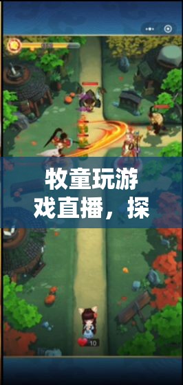 牧童游戲直播，鄉(xiāng)村樂(lè)趣與游戲世界的奇妙碰撞
