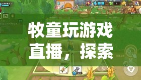 牧童游戲直播，鄉(xiāng)村樂(lè)趣與游戲世界的奇妙碰撞