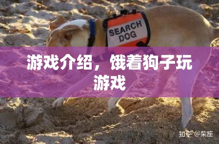 餓著狗子玩游戲，挑戰(zhàn)你的反應(yīng)速度