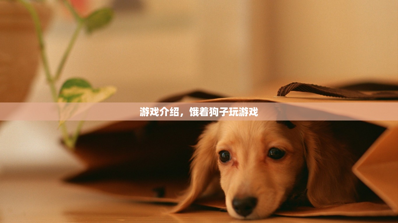 餓著狗子玩游戲，挑戰(zhàn)你的反應(yīng)速度