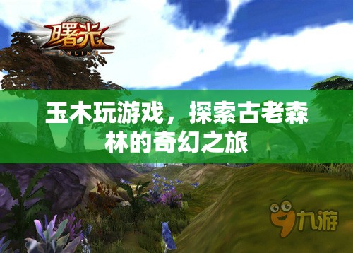 玉木探索古老森林，奇幻之旅開啟