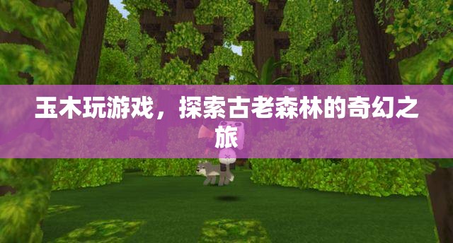 玉木探索古老森林，奇幻之旅開啟