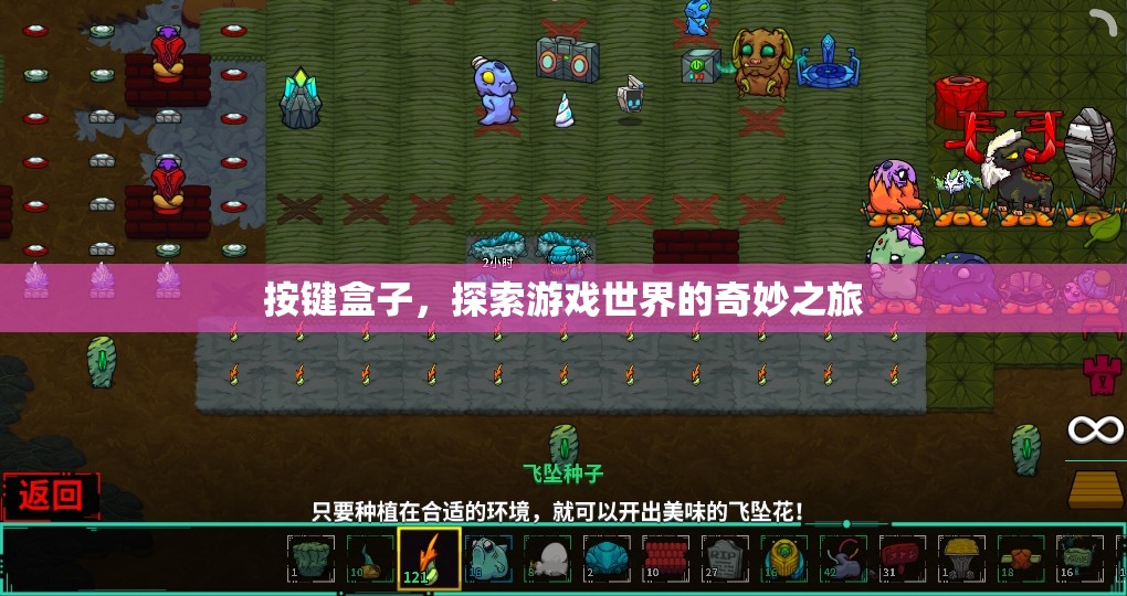 按鍵盒子，開啟游戲世界的奇妙之旅