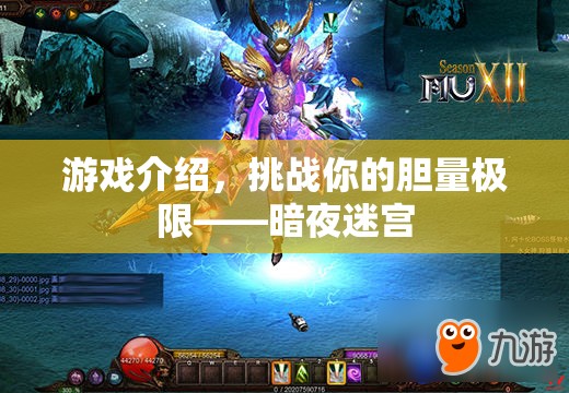挑戰(zhàn)膽量極限，暗夜迷宮游戲介紹  第3張