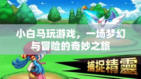 小白馬的游戲冒險(xiǎn)之旅