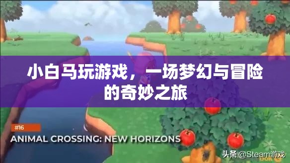 小白馬的游戲冒險(xiǎn)之旅
